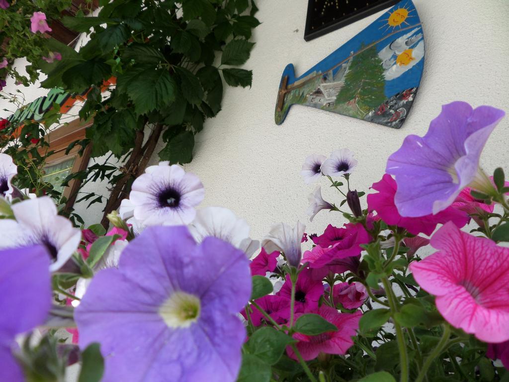 Affittacamere Pizzeria Marmolada Rocca Pietore Exterior foto